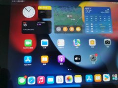 Apple ipad二手苹果平板电脑 迷你mini 21款P