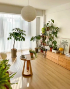 热门新上 南朝向2居室 户型方正 低层楼层 空中花园