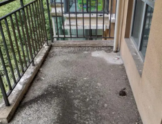 彭州碧城望丽庄园出售