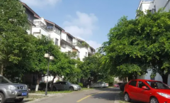 房东直售优价优质银杏苑（金牛）叠拼别墅 已装修