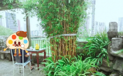 地铁房东郊记忆木林竹源居(成华-建设路) 普通住宅 豪华装修